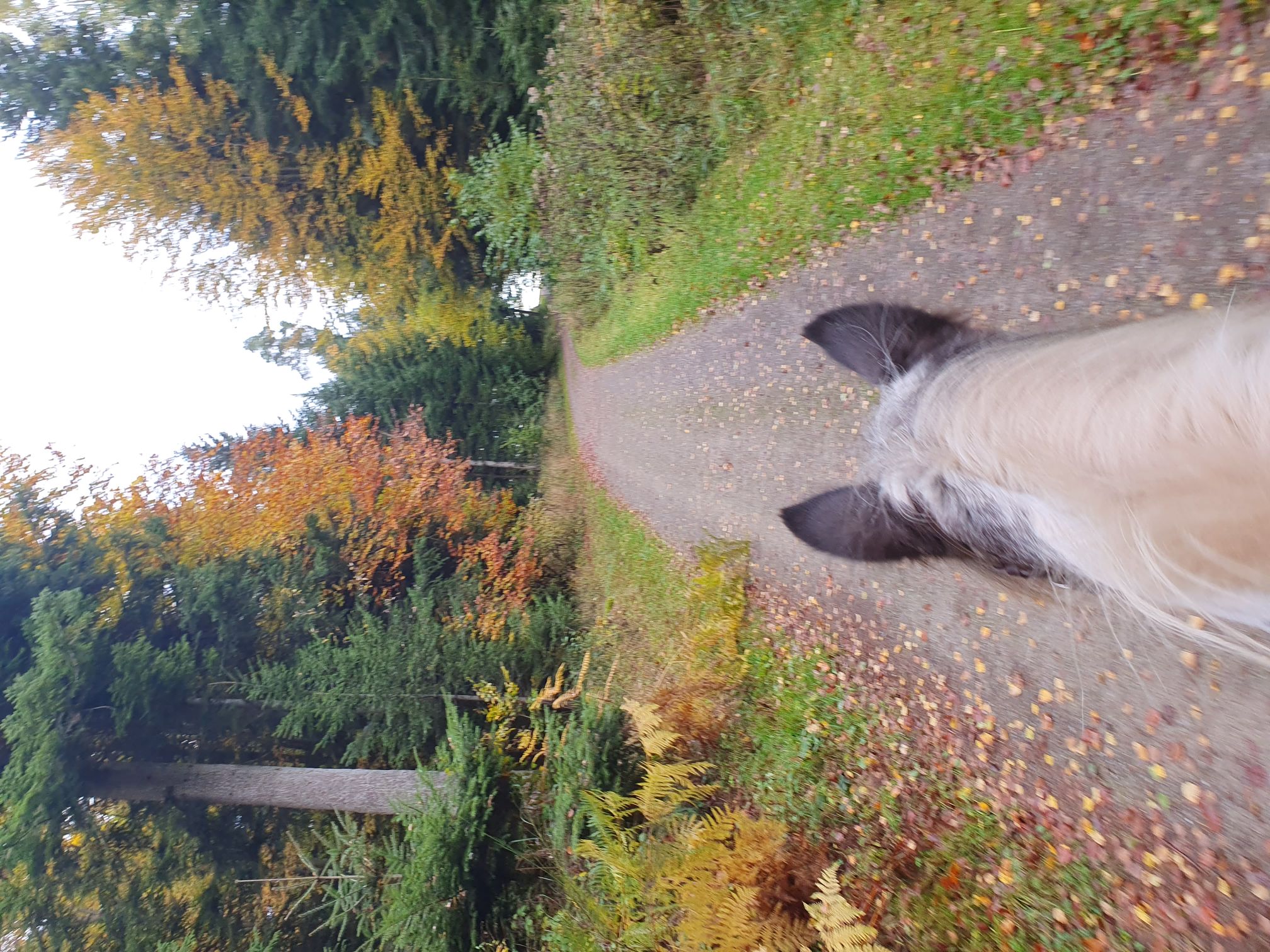 2023 11 November 567